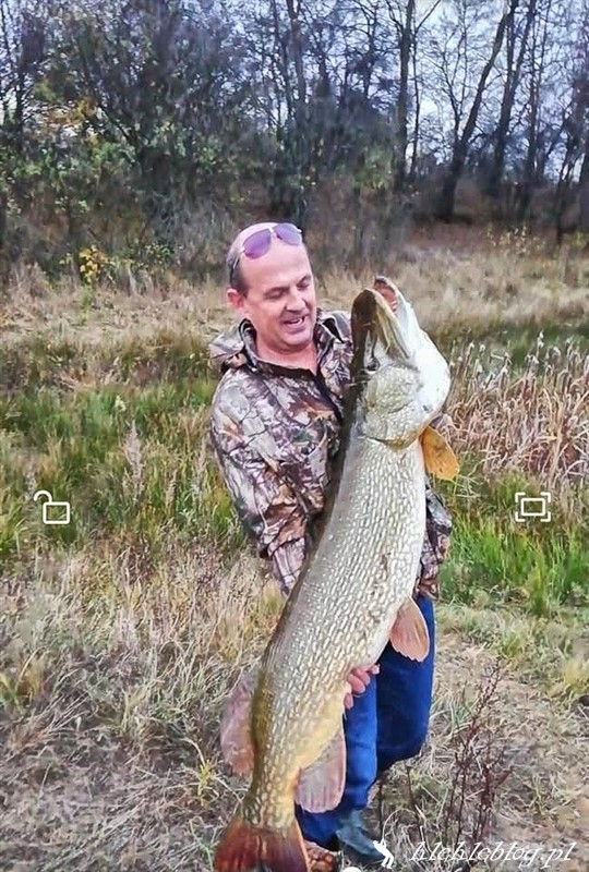 World Record Pike Caught in Italy - Flylords Mag